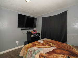 Bedroom featuring a textured wall, carpet floors, and a textured ceiling