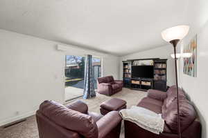 Carpeted living area with vaulted ceiling and a textured ceiling