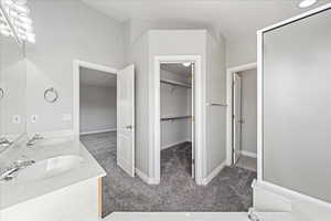 Full bath featuring light carpet, a walk in closet, and double vanity