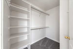 Walk in closet featuring dark colored carpet