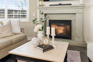 Detailed view of a glass covered fireplace and wood finished floors