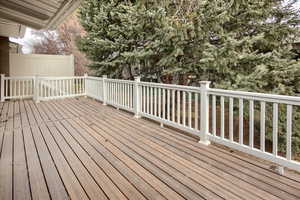 View of walkout deck from the main level family room.