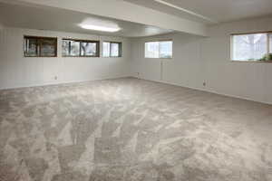 Below grade area featuring wood walls and light carpet