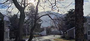 View of asphalt road with sidewalks and curbs