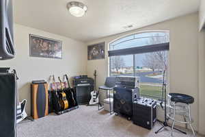 Rec room featuring light carpet and a textured ceiling