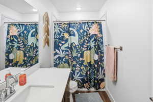 Bathroom with vanity, a shower with shower curtain, and dark wood-style flooring