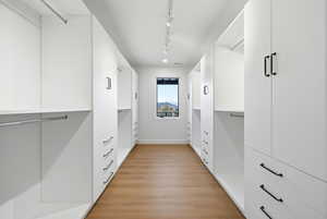 Walk in closet featuring light wood-style floors