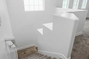 Stairway with carpet flooring and baseboards