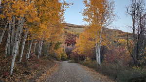 View of asphalt street