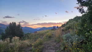 View of mountain background