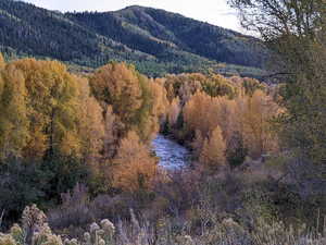 View of mountain background with a large body of water and a forest