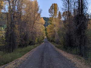 View of asphalt street featuring a wooded view