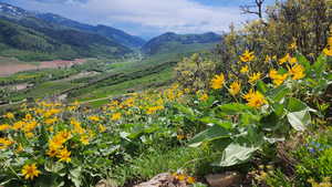View of mountain background