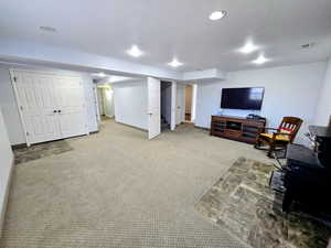 Carpeted living room with a wood stove and a textured ceiling