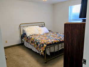 Bedroom featuring baseboards and carpet floors