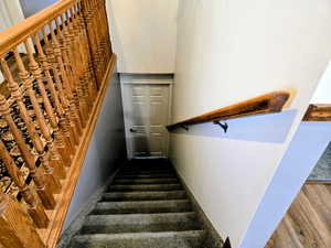 Stairs featuring carpet floors
