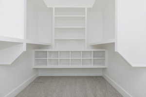 Spacious closet featuring light colored carpet