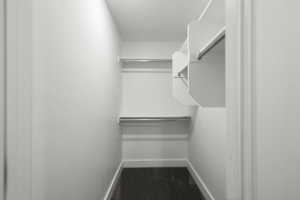 View of walk in closet