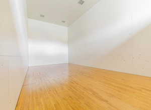 Empty room with hardwood / wood-style floors and a sport court