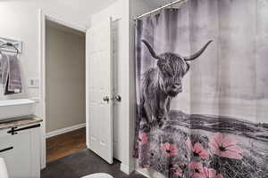 Full bathroom with baseboards and vanity