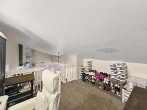 Recreation room with carpet floors