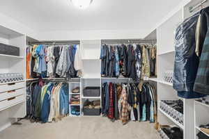 Spacious closet with carpet