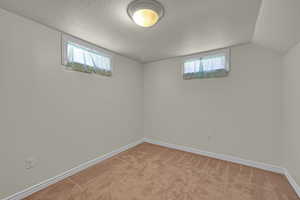 Basement with carpet floors, a textured ceiling, and plenty of natural light