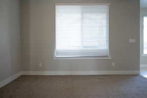Carpeted empty room featuring plenty of natural light