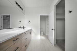 Bathroom featuring vanity and a spacious closet