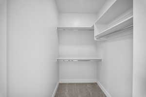 Walk in closet with light carpet