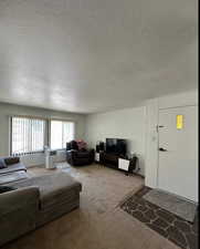 Living room featuring carpet floors and a textured ceiling