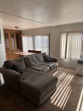 Living area with carpet floors and a textured ceiling