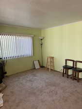 Unfurnished room with a textured ceiling and carpet flooring
