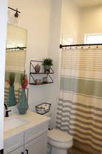 Bathroom with vanity and a shower with shower curtain