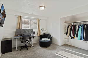 Home office featuring light carpet and a textured ceiling