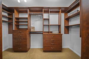 Walk in closet featuring light colored carpet