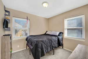 Bedroom featuring baseboards and carpet flooring