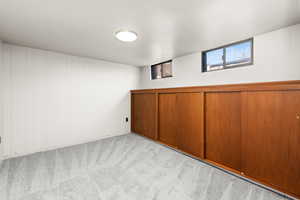 Below grade area featuring light carpet and wood walls