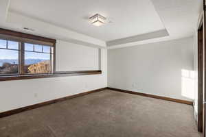 Carpeted spare room featuring a tray ceiling, a mountain view, and a textured ceiling