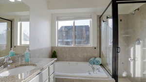 Bathroom featuring vanity, a stall shower, and a bath