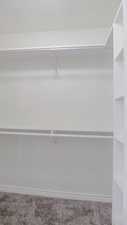 Spacious closet featuring carpet