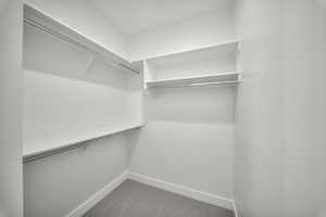 Spacious closet featuring carpet flooring