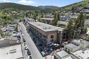 Drone / aerial view of a forest and a mountainous background