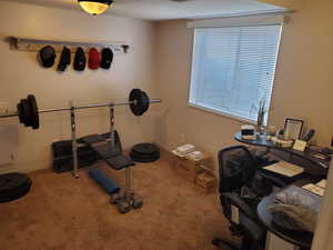 Exercise room featuring light carpet