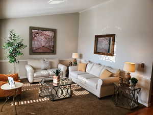 Carpeted living room with vaulted ceiling and baseboards