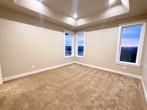 Unfurnished room featuring carpet floors and a tray ceiling