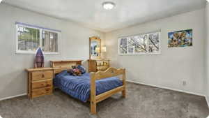 Bedroom with carpet