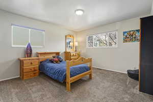 Bedroom with carpet flooring