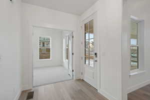 Entryway featuring wood finished floors