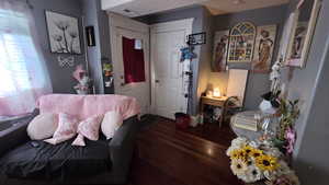 Entryway with dark wood-type flooring